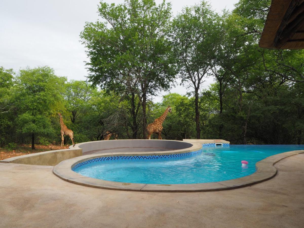 Pata Pata House Villa มาร์ลอทพาร์ค ภายนอก รูปภาพ
